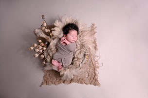 newbornshoot studio hellevoetsluis