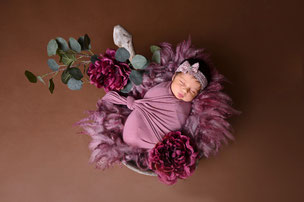 newbornshoot studio hellevoetsluis