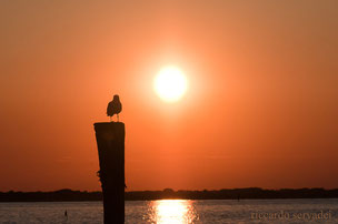 Gorino, tramonto sul delta del Po