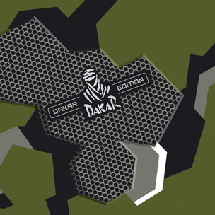 STEALTH - Camouflage 3D