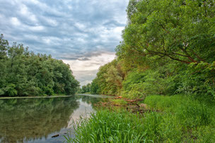 Mitterwasser