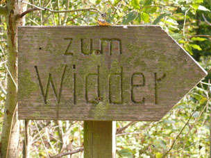 Wegweiser zum Widder