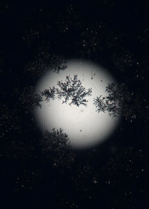 Ein Experiment: Blick durch eine vereiste Glasscheibe auf den Wolfsmond