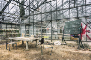 University E. [Greenhouses]