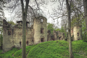 Castle "Crown of the Land"