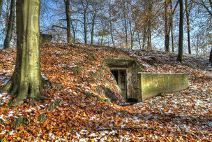 Wehrmacht Ammunition Depot "Brown Star"