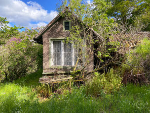 The Tiny House on the Hill