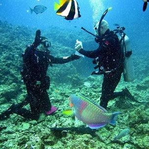 Course Divemaster in Varadero