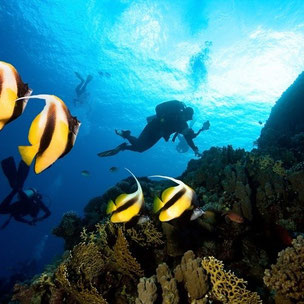 Viaje de buceo a Bahia Cochinos, Cienfuegos y Trinidad