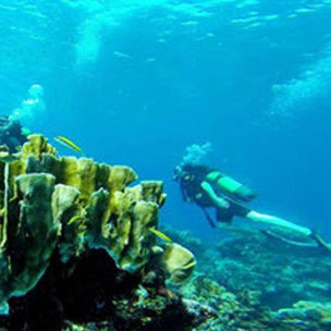 Padi Diving Course in Varadero