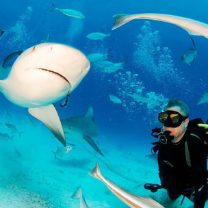Viaje de buceo a Santa Lucia Cuba