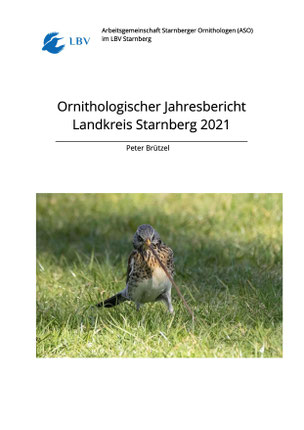 Titelbild