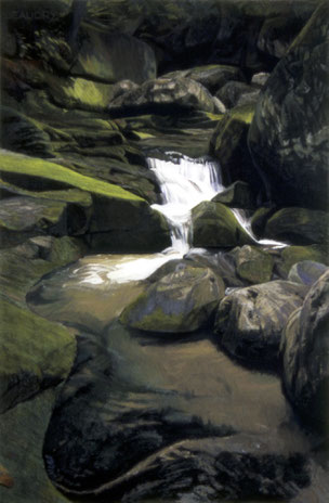 francois beaudry pastel and watercolor painting landscape white water rocks moss via appalachia series 8