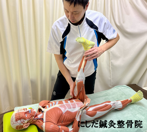 にしだ鍼灸整骨院