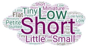 Tall (Alto/a) - Antónimos en inglés.
