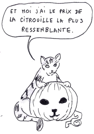 Dessin de Marie-Laure Nicolaon