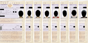 興行ビザ 基準省令2号 在留資格 興行 の申請なら アルファサポート行政書士事務所へ