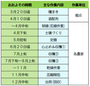 野田葉たばこ生産組合の作業スケジュール