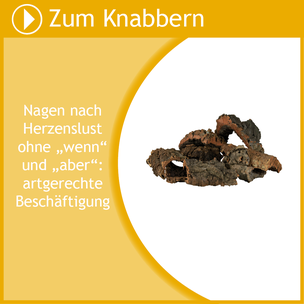 Hier gehts zu allen Knabberartikeln, wie Korkstücken und Ästen im Rennmausladen