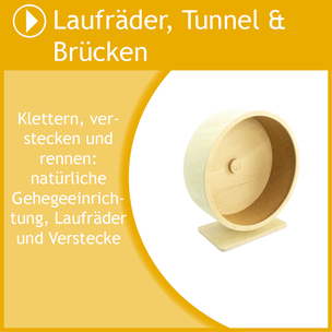 Hier gehts zu den Laufrädern, Tunneln und Brücken im Rennmausladen