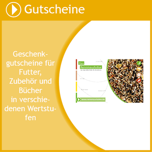 Hier findest du Geschenkgutscheine in verschiedenen Wertstufen.