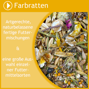 Entdecke artgerechtes und naturbelassenes Futter für deine Farbratten in großer Auswahl.