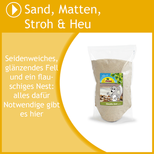 Hier gehts zu Sand, Hanfmatten, Stroh und Heu im Rennmausladen