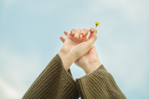 青空に向かって手を伸ばすセーター姿の女性。小さな黄色の花をつまんで。