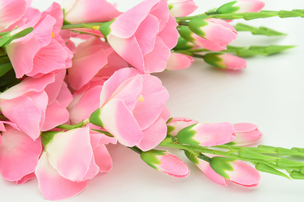 ピンク色のスイトピーの花。