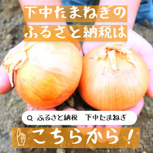 下中たまねぎのふるさと納税はこちらから！(外部サイトにリンクします)