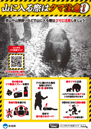 240501 クマ出没注意（2024年） - 阿賀町観光協会 公式info