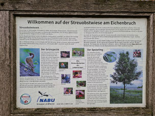 Infotafel Eichenbruch (Foto:NABU Lindhorst/A.Schulte-Eickholt)