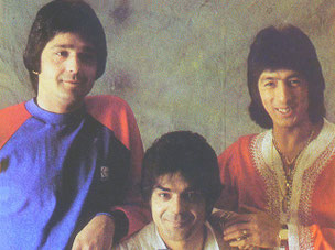 LOS CHICHOS LO MAS
