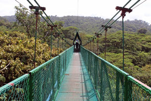 Baumwipfelpad Sevatura Park, Monteverde, Costa Rica