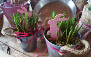Muscari mit Hasi in Rosa