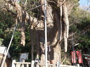 神奈川県　三浦　レンタサイクル