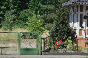 Haus mit einem Garten, in dem eine grüne Schubkarre steht