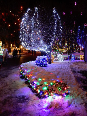 Gorgeous White Lights in one of the Holiday Displays