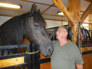 A passenger gets to meet one of the Friesian horses