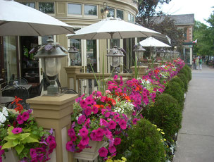 Niagara on the Lake's Unforgettable Shopping Street 