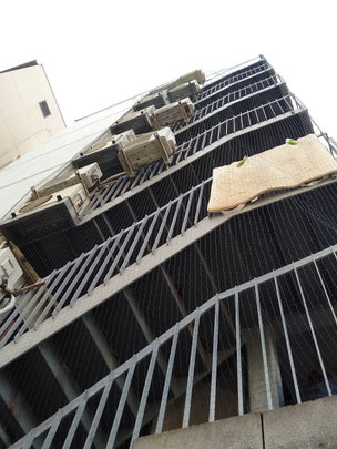 伊丹市のマンション　入居者から苦情　鳩の休憩場所　鳩フン被害の共用階段　階段全体を鳩よけネットで対策