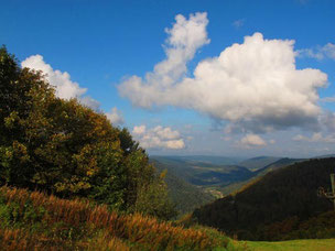 Der Blick hinunter ins Münstertal