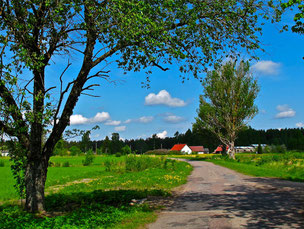 Mittagspause im Schatten der Bäume auf der Fahrt nach Tallin