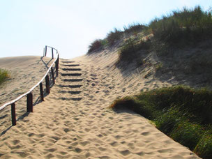 der Weg zur Dünenkuppe hinauf