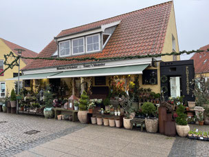 Blumenladen in Skagen