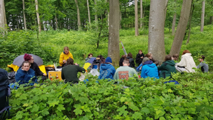 Studierende im Wald