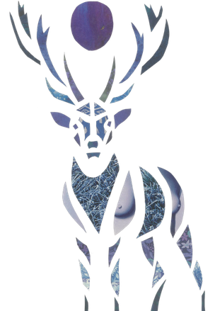 Cerf, Oracle des Animaux d'Ariane