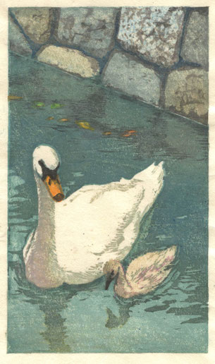白鳥の親子　木版画 20.7x12cm