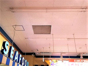 防カビ施工後の天井