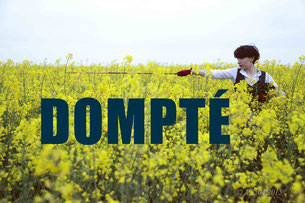 Dompté